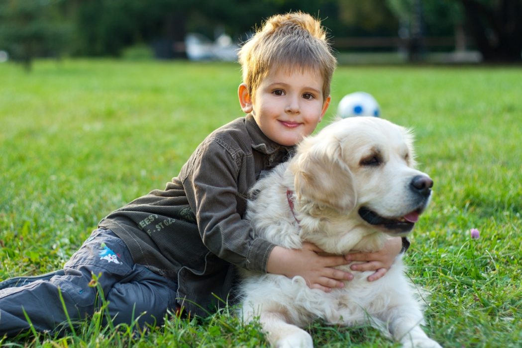 boy with trained-service-dog 1267 x 845
