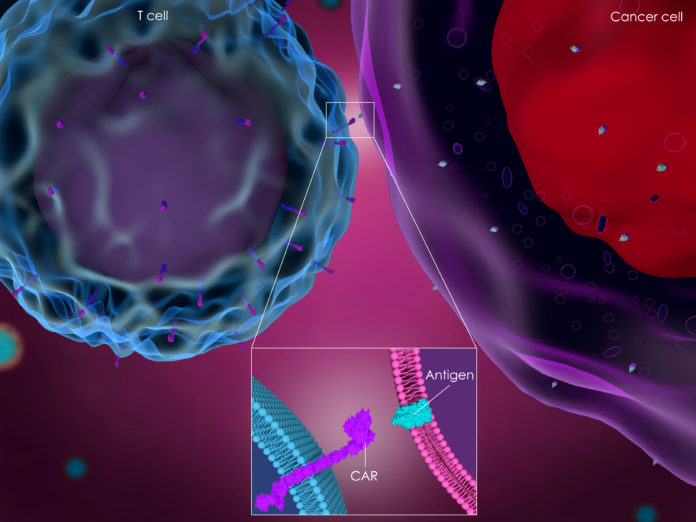 CAR T-Cell Therapy for Cancer: What’s New on the Road to Cure?