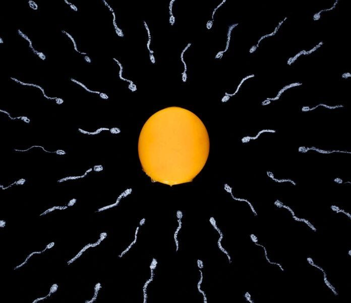 IVF: What is it and When Should It Be Considered? | The Doctor Weighs In