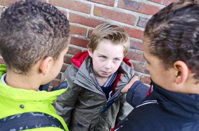 Helping Your Child Deal With Bullies: What You Can Do
