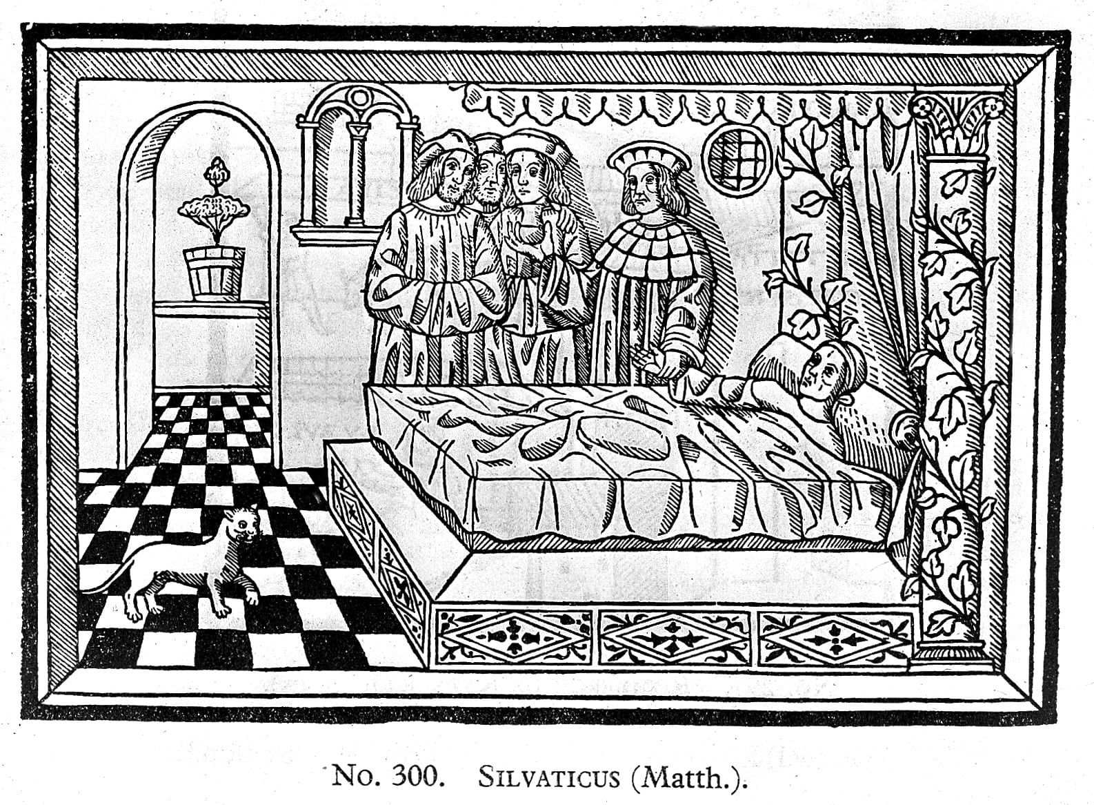 medieval medicine woodcut