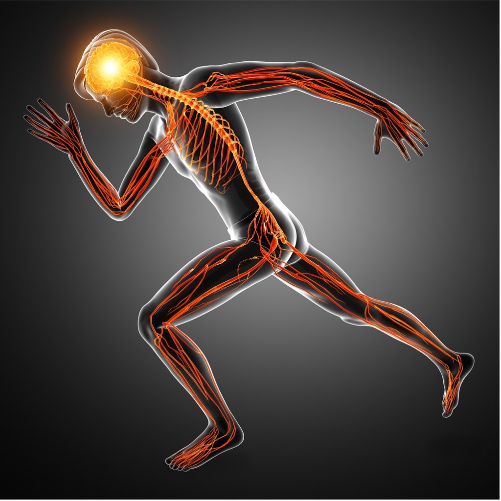 human running with brain lit up graphic 1024 x 1024