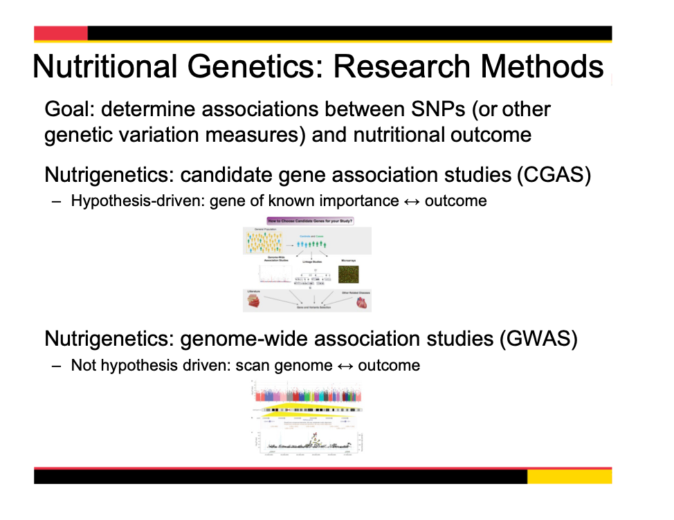 Nutritional genetics research methods (slide) 974 x 752